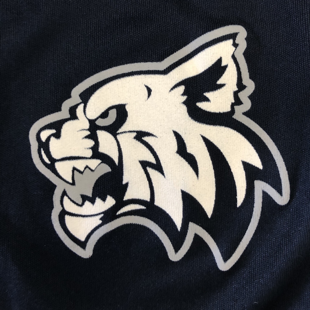 Wildcat logo